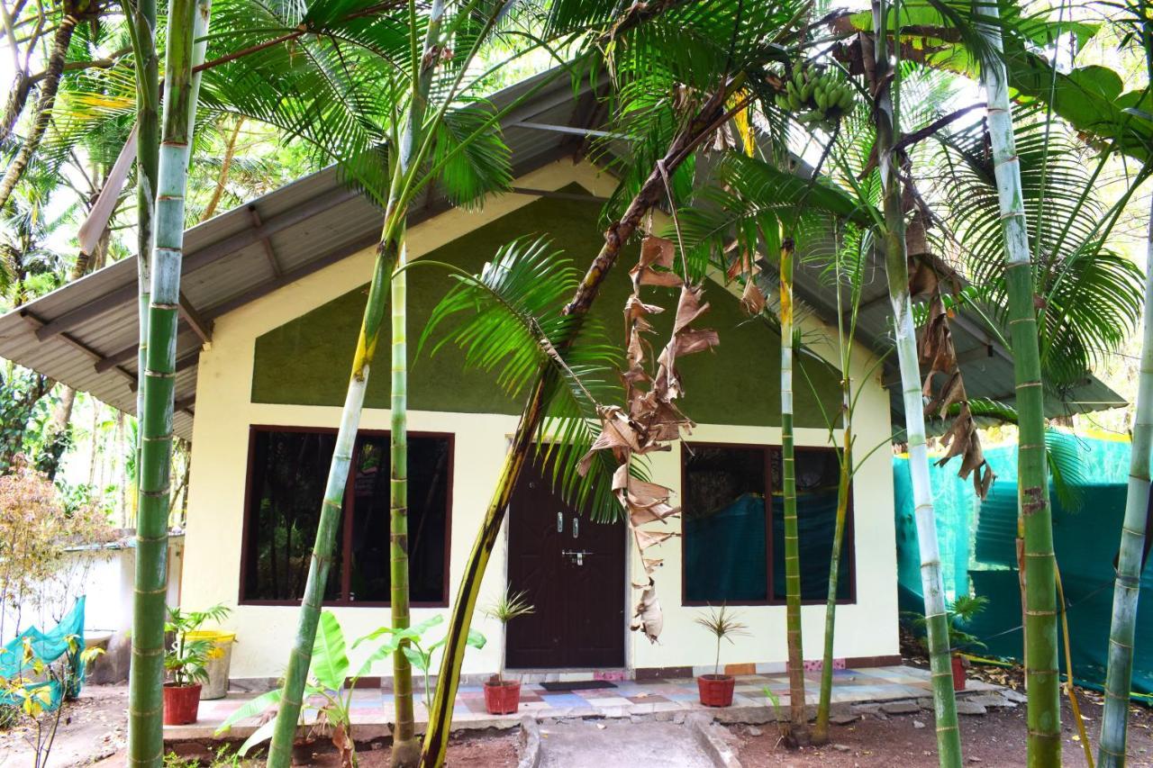 Staymaker Coorg Jungle Stay Resort Kushālnagar Exterior photo