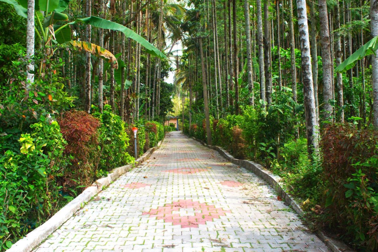 Staymaker Coorg Jungle Stay Resort Kushālnagar Exterior photo
